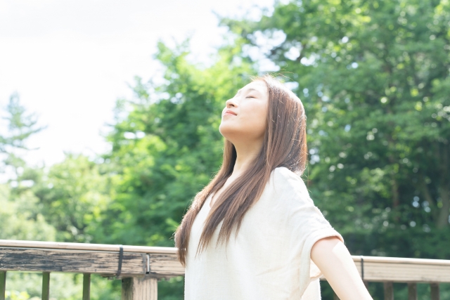 体験者の声と成功事例